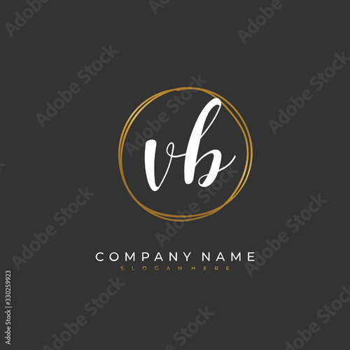 Handwritten initial letter V B VB for identity and logo. Vector logo template with handwriting and signature style.