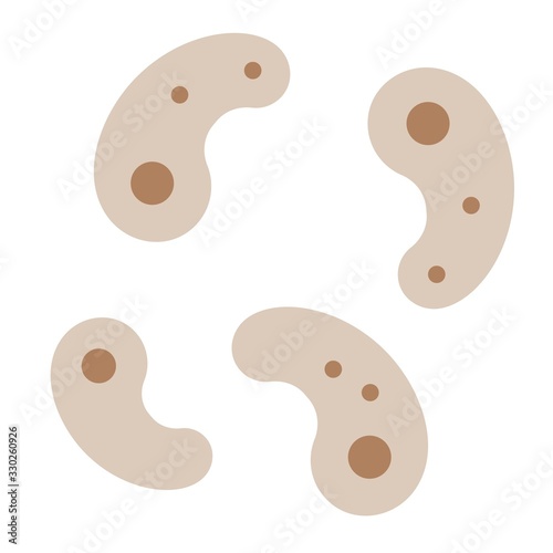 Amoeba or Bacteria vector illustration, flat style icon