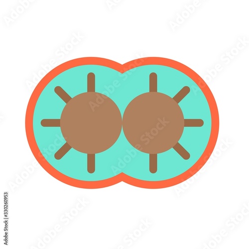 Cell division vector illustration, flat style icon