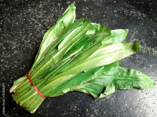 Culantro or Sawtooth Coriander, Eryngium Foetidum, Stink weed, beni, long coriander isolated black floor background. photo