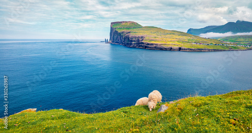 Panoramic summer view of Eidi village. Amazing morning scene of Eysturoy island with Eidiskollur cliffs on background. Nice landscape of Faroe Islands with flock of sheeps, Denmark, Europe. photo