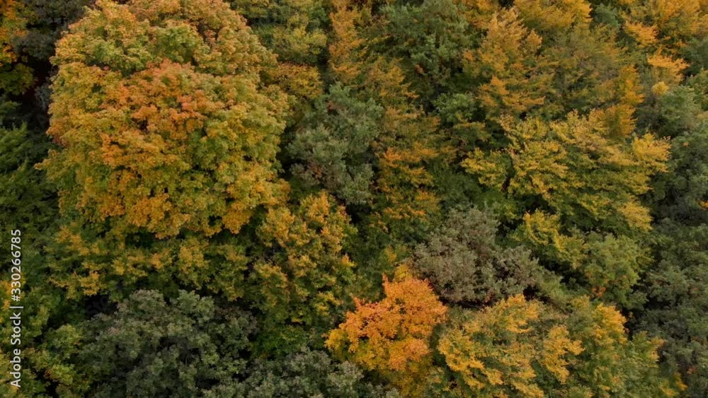 Top down autumn wood. Nature background. Aerial top view of autumn forest with colorful trees. Top down autumn wood. Nature background. Aerial top view of autumn forest with colorful trees.