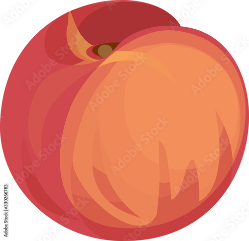 Fresh ripe peach fruit isolated on white background