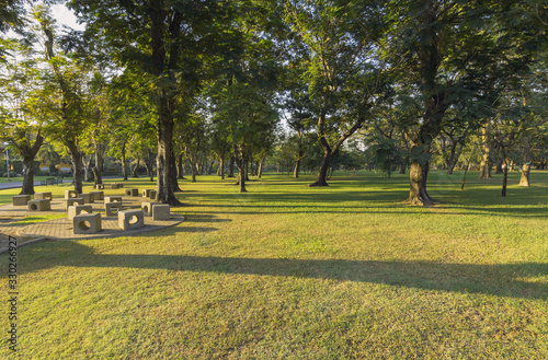 View of parks and recreation areas in the city and green trees