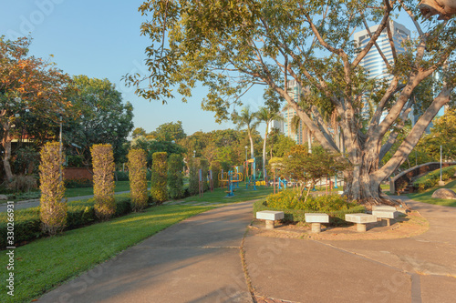 Beautiful view in the park in the evening