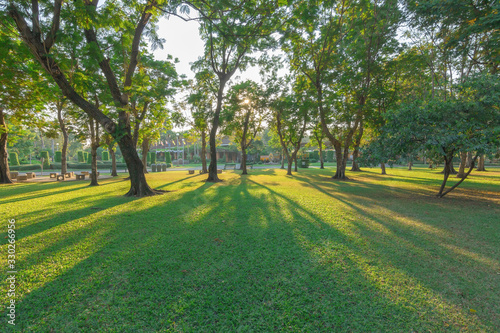 View of parks and recreation areas in the city and green trees