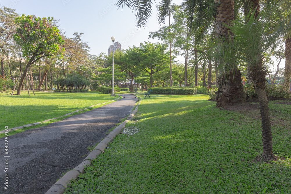 Obraz premium Beautiful path view in the park in the evening.