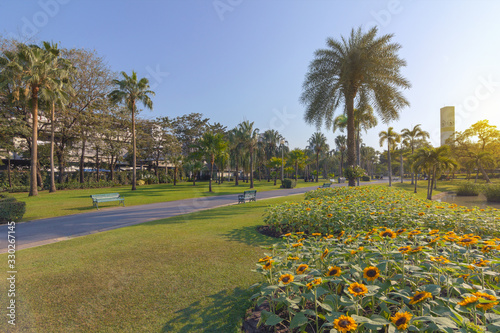 Beautiful view in the park in the evening
