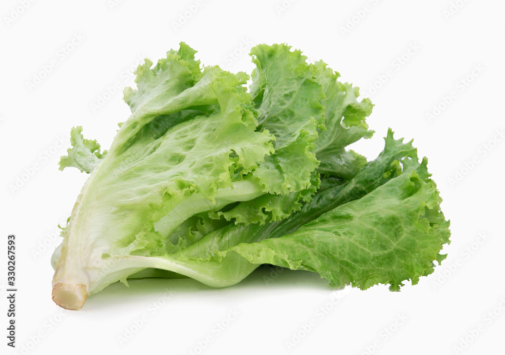 Lettuce isolated on white background Lettuce isolated on white background