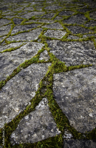 Stone floor with moss