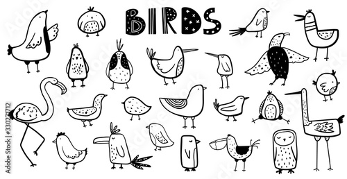 Vector black and white hand-drawn childish set with Various cute contour birds in Scandinavian style on a white background. Vector set with doodle birds.