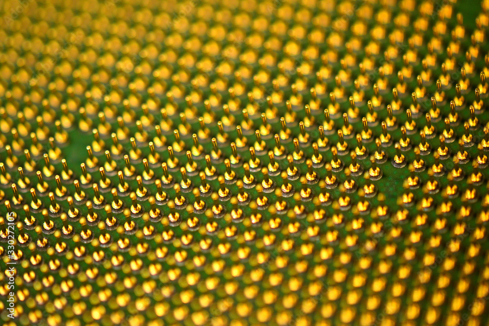 Fototapeta Pins of central processor unit. CPU close-up. Bottom side.