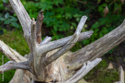A fancy wooden stump lies on the green grass.