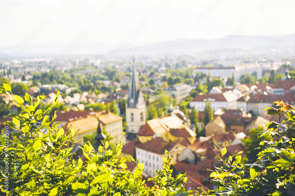 Panoramic view with red roofs of Ljubljana City, Slovenia.