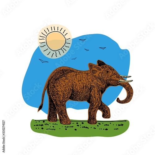 Elephant vector illustration on white background