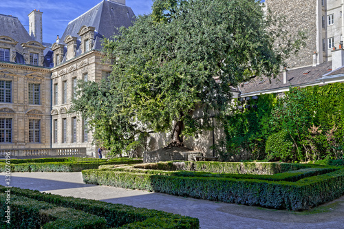 Museum garden in paris