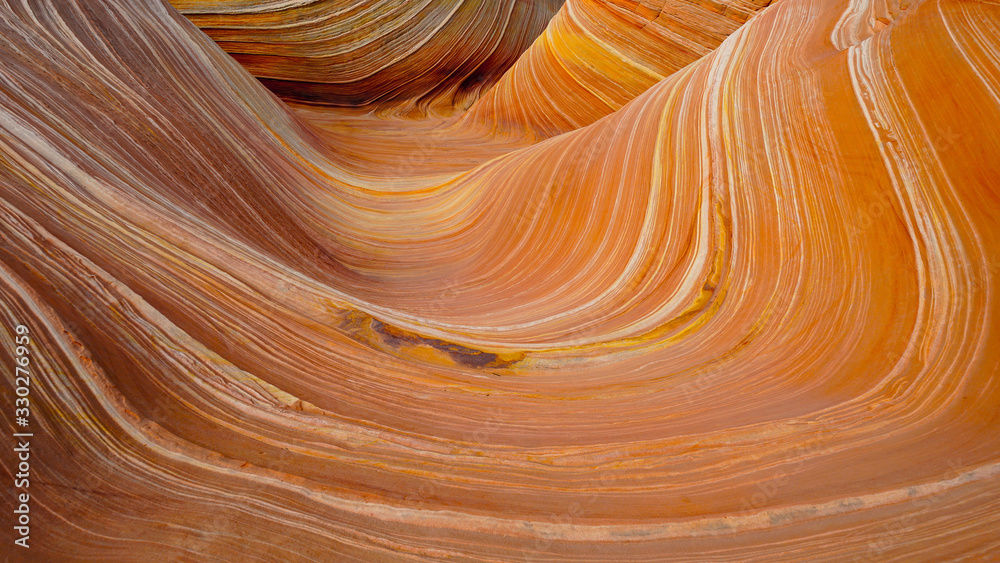 The Wave The Wave