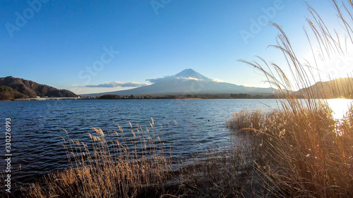 An idyllic view on Mt Fuji from the side of Kawaguchiko Lake, Japan. The volcano is surrounded by clouds. Dried, golden grass on the shore of the lake. Serenity and calmness. Bright and clear day. © Chris