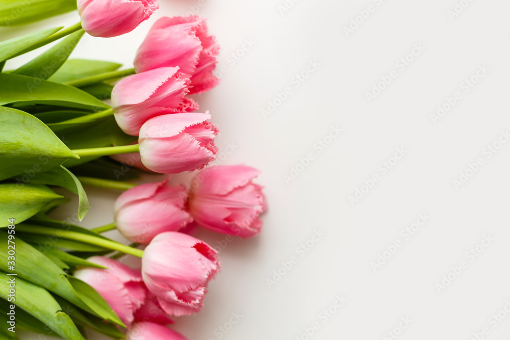 Obraz premium pink tulips lie on a white table