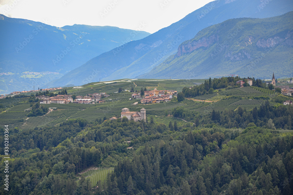 paesaggio di montagna con valle e pineta 