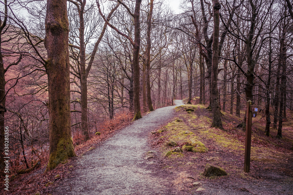 Footpath through an English Woodland Footpath through an English Woodland
