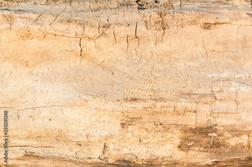 Natural texture of old wood, close up
