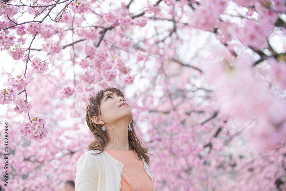 桜の木の下で撮るポートレート 桜の木の下で撮るポートレート