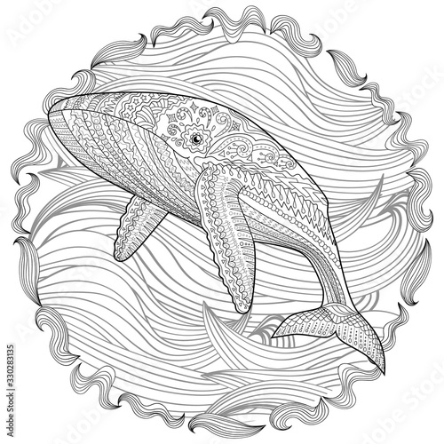 Coloring pages for adults with humpback whale for anti-stress coloring book with high details, isolated on pattern background, illustration in zentangle style. Vector