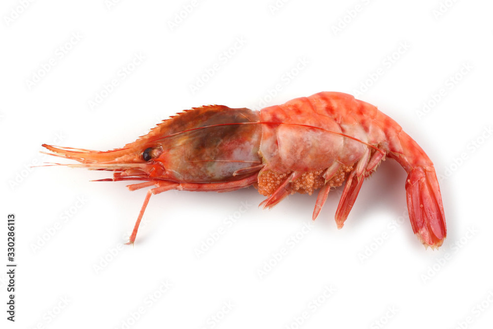 Big shrimp isolated on white Big shrimp isolated on white