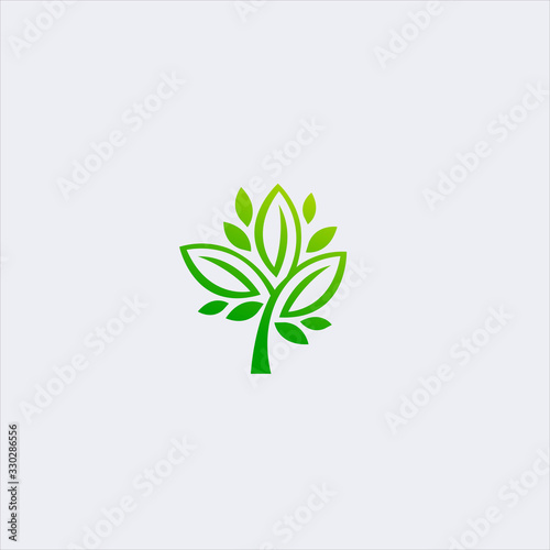 Fototapeta Naklejka Na Ścianę i Meble -  vector simple tree leaves logo design template