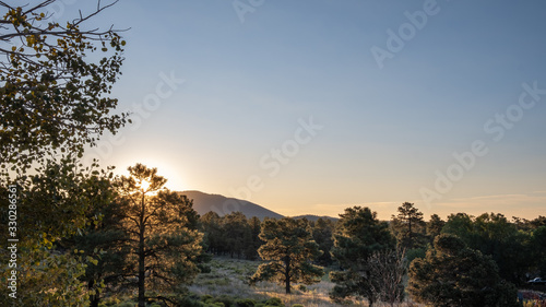 sunset on grand canyon, and grass and trees