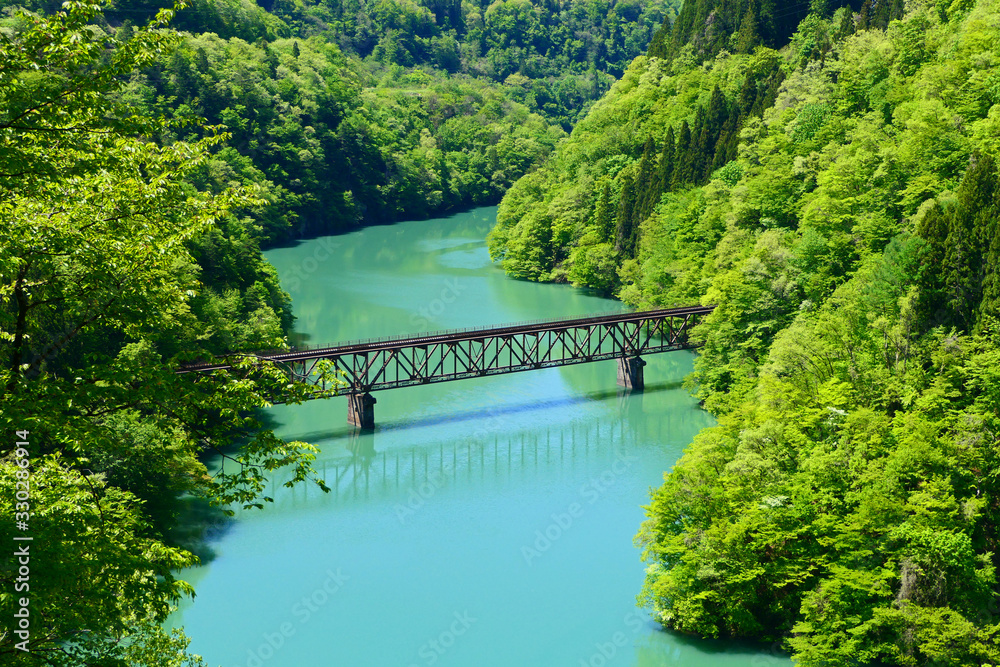 Fototapeta premium 新緑の只見川と只見線第三橋梁。三島、福島、日本。5月中旬。