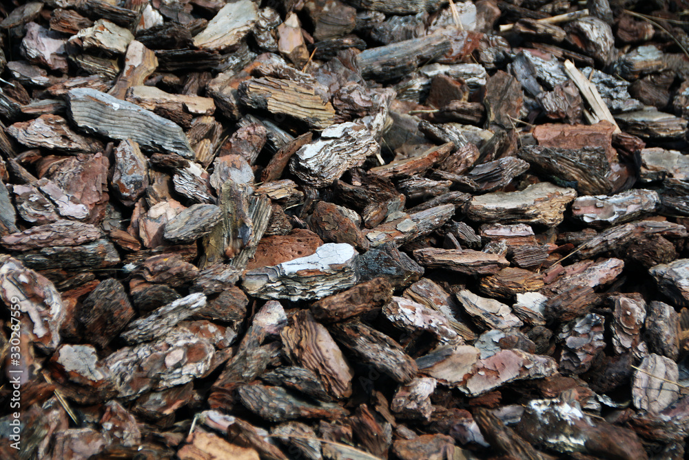 Texture crushed fragments bark of wood. Texture crushed fragments bark of wood.