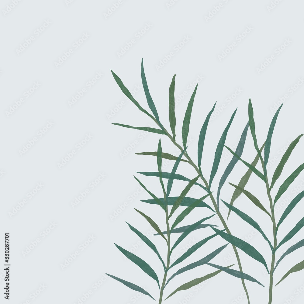 パーム、ヤシ 葉 素材 観葉植物 パーム、ヤシ 葉 素材 観葉植物