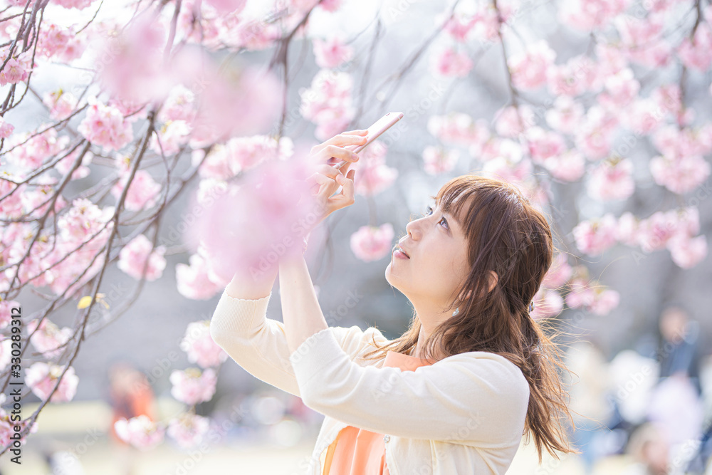 スマートフォンで桜を撮影する女性