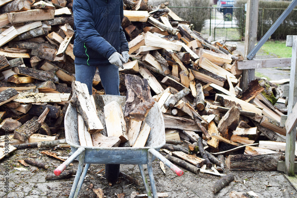 Obraz premium Young man in gloved hand throwing firewood in old metal wheelbarrow and pile of firewood on background in yard. Teen boy works outdoors in spring and preparation of firewood concept.