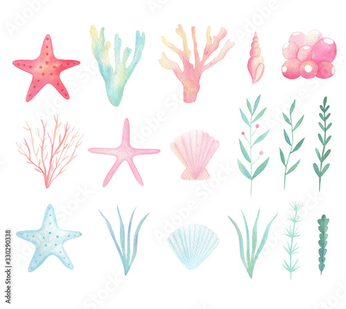 Watercolor sea, ocean life clip art. Marine plants, seashell, starfish set isolated on white background. Hand drawn watercolor illustration with sea, underwater life. 