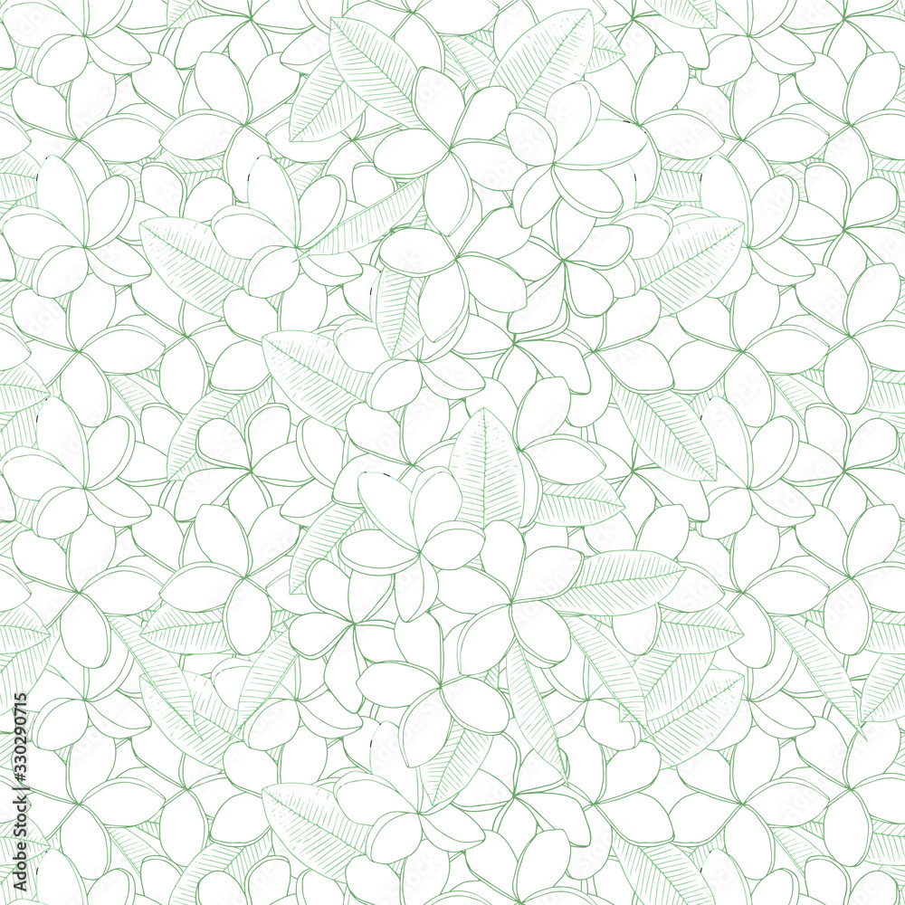 Fototapeta premium Plumeria seamless pattern monochrome flower, leaves. Art design element hand drawing stock vector illustration for web, for print