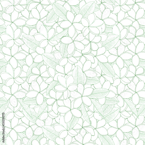 Plumeria seamless pattern monochrome flower, leaves. Art design element hand drawing stock vector illustration for web, for print