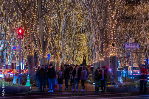 People are traveling the Jozenji street in Sendai for New Year light up Celebration. photo