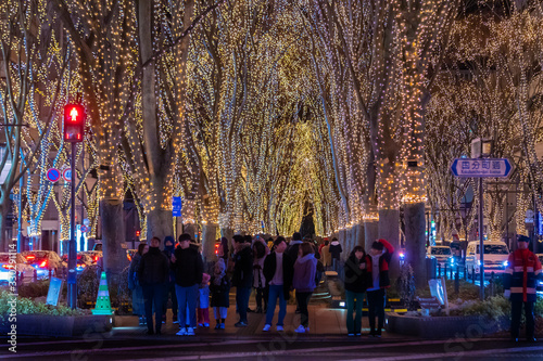 People are traveling the Jozenji street in Sendai for New Year light up Celebration.