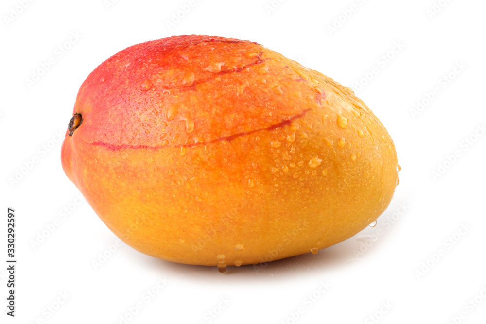 Fototapeta premium Mango isolated on white