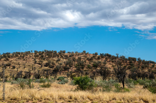 Alice Springs Australia, view from road with generic outback vegetation with clouds in sky