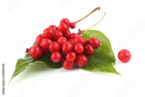 Schisandra Chinensis isolated on white