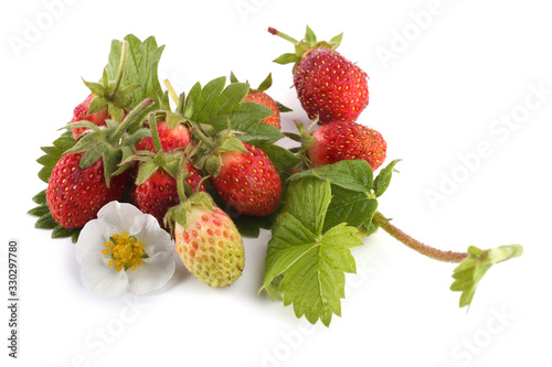 Strawberries  leaves and flower isolated on white