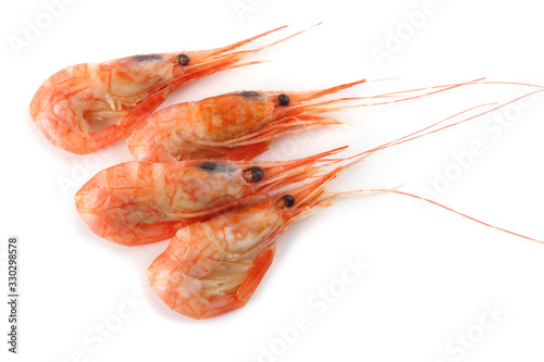Shrimps isolated on white. Fresh sea food