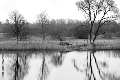 A Countryside Landscape with Trees and Reflection in Water