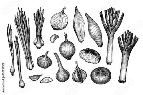 Onions, garlic, leeks and scallions.