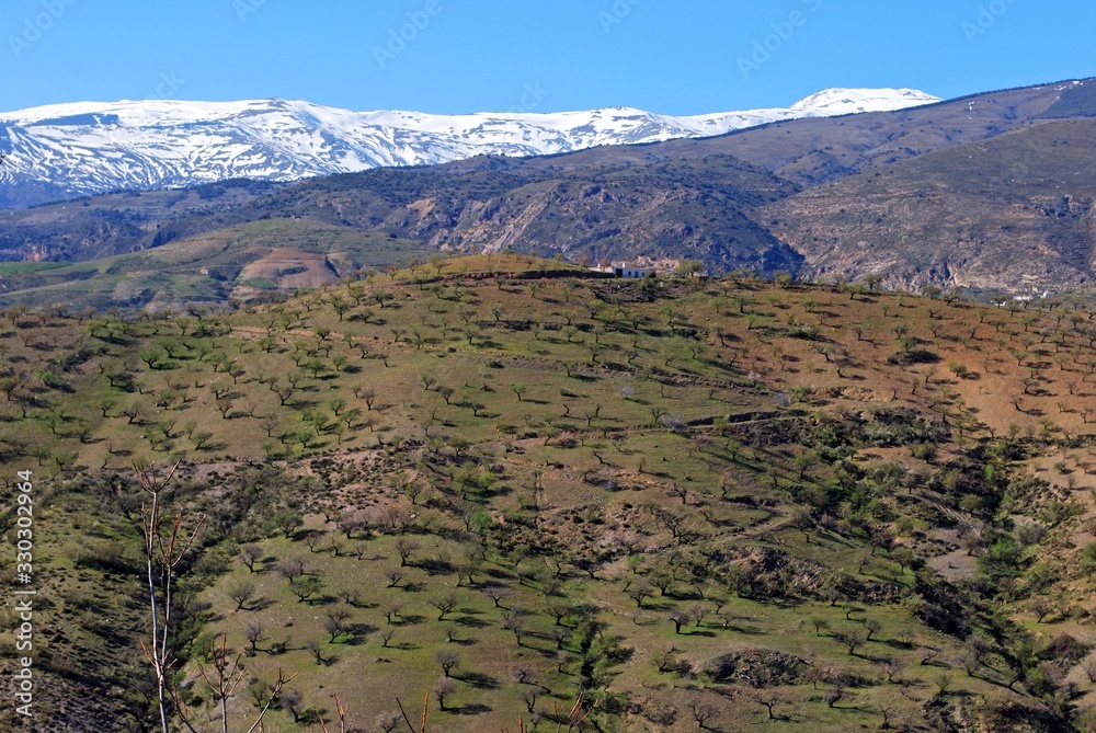 Φωτογραφία View of the countryside with snow capped mountains of the Sierra Nevada to the rear near Torvizcon, Spain