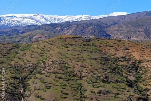 View of the countryside with snow capped mountains of the Sierra Nevada to the rear near Torvizcon, Spain.